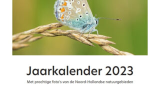 Kalender 2023